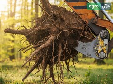 ТОВ ДЗСТ 2 Кіготь 12-20  - фото