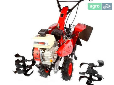 Weima WMX 650 2025 - фото