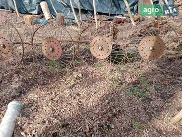 Wirax Сонечко 4 2020 - фото