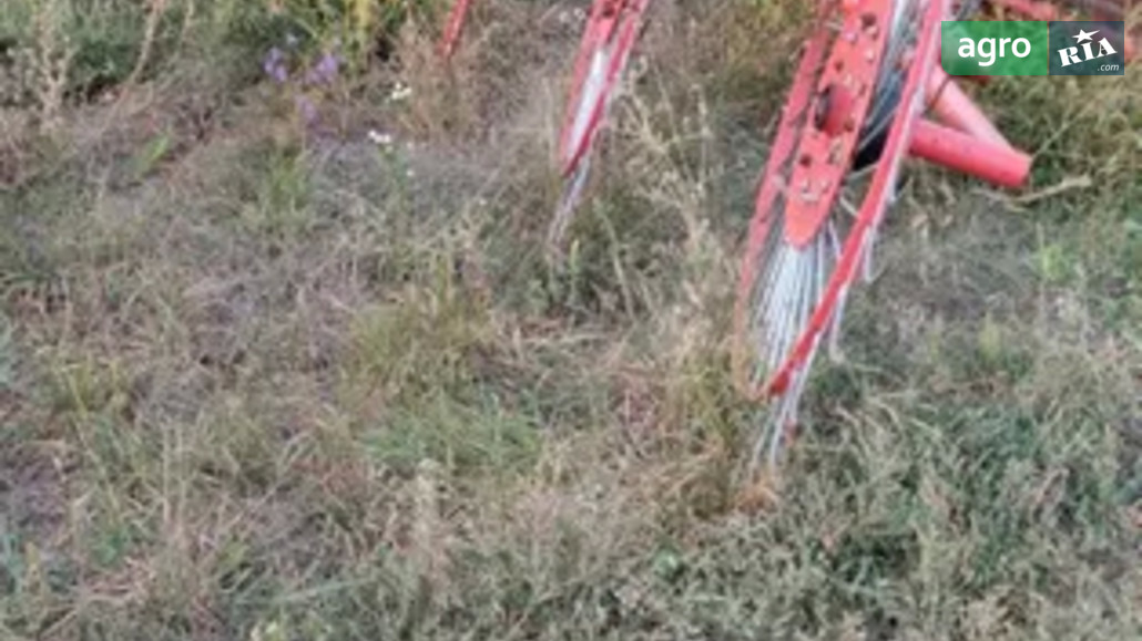 Граблі Wirax UA Сонечко 5 2017 - фото 1