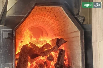 Зерносушарка Zaffrani 600N  - фото