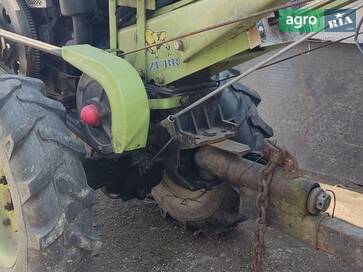 Zubr 10 2019 - фото