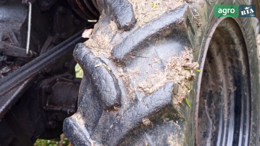 Мотоблок Zubr 12 2014 - фото 1