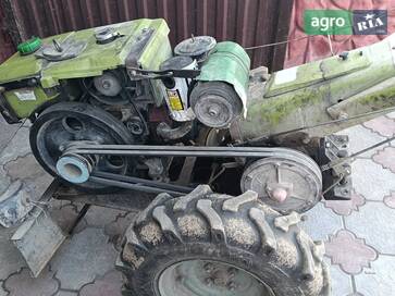 Zubr 12 2014 - фото