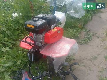 Zubr XA-31 2023 - фото