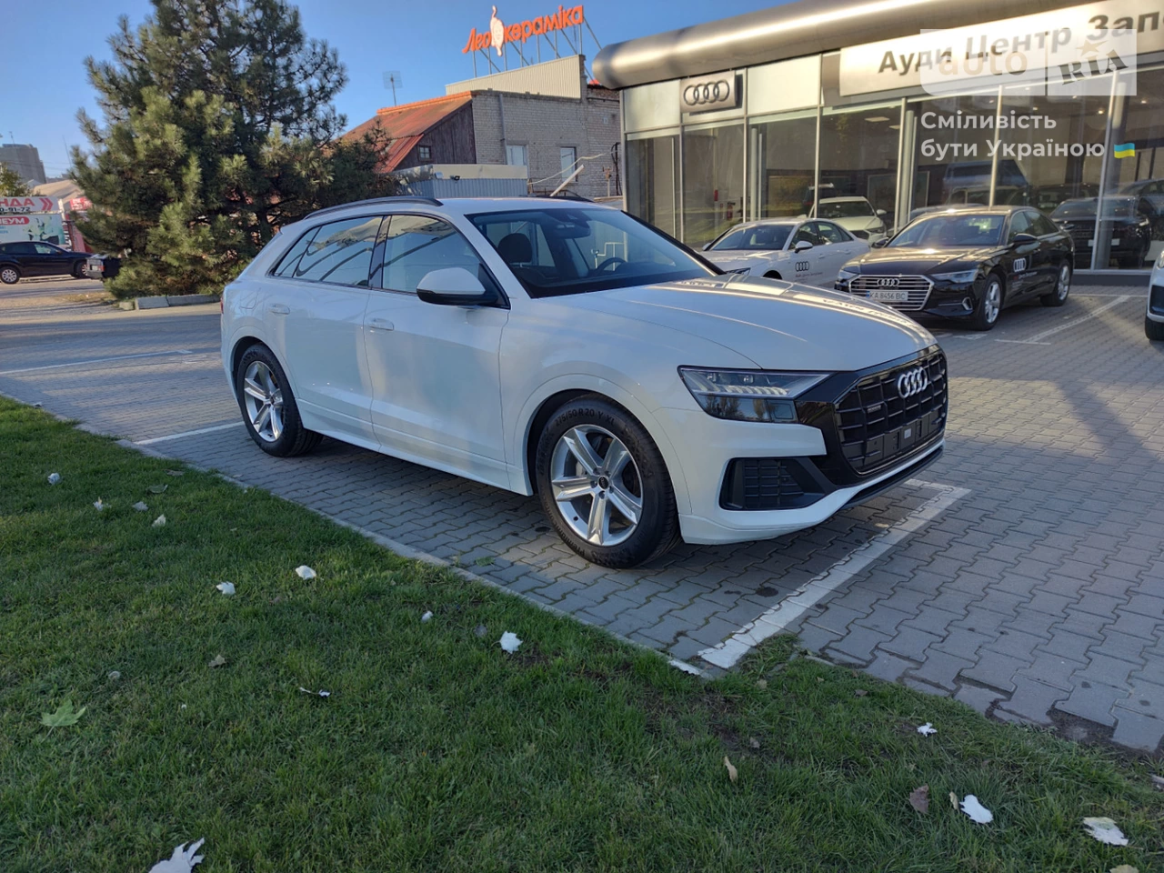 Audi Q8 Basis