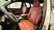 Audi SQ5 Basis