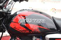 Bajaj Boxer Base