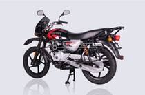 Bajaj Boxer Base