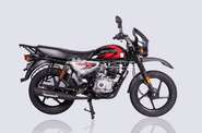 Bajaj Boxer Base