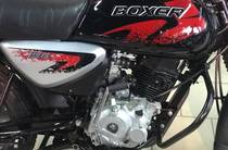 Bajaj Boxer Base