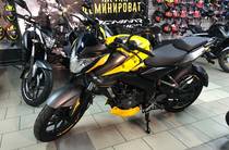 Bajaj Pulsar Base