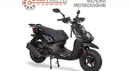 Bashan BWS 150 Base