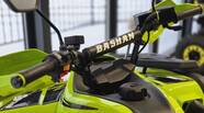 Bashan Explorer 330 Base