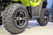 Bashan Explorer 330 Base