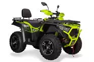 Bashan Explorer 330 Base