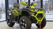Bashan Explorer 330 Base