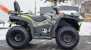 Bashan Explorer 330 Base