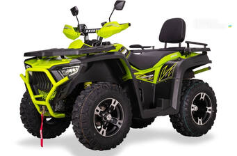 Bashan Explorer 330 2025 Base