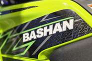 Bashan Explorer 330 Base