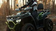 Bashan Explorer 330 Base