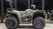 Bashan Explorer 330 Base