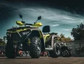 Bashan Explorer 330