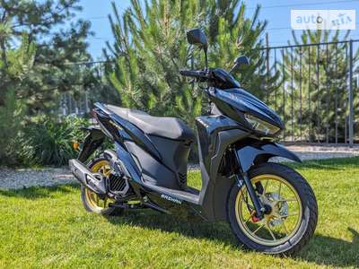 Bashan Shark 150 2024 Base