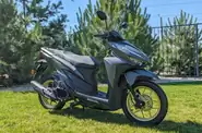 Bashan Shark 150 Base