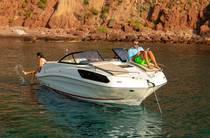 Bayliner Cuddy Base