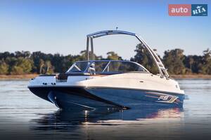 Bayliner Deck Boat 2018 року