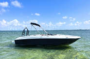 Bayliner Element Base