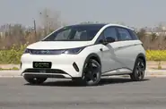 BYD Dolphin Knight Edition