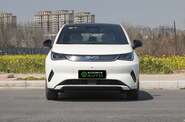 BYD Dolphin Knight Edition