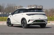 BYD Dolphin Knight Edition