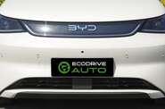 BYD Dolphin Knight Edition