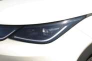 BYD Dolphin Knight Edition