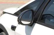 BYD Dolphin Knight Edition