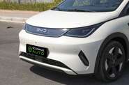BYD Dolphin Knight Edition
