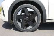 BYD Dolphin Knight Edition