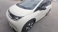 BYD Dolphin Freedom Edition