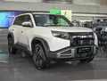 BYD Leopard 3