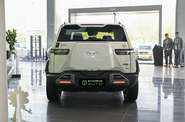 BYD Leopard 3 Max