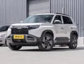 BYD Leopard 3