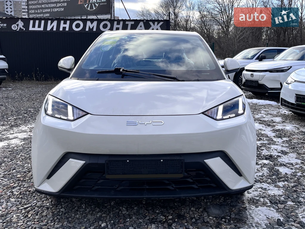 BYD Seagull Flying version