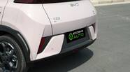 BYD Seagull Flying version