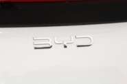 BYD Seagull Flying version