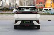 BYD Seagull Flying version