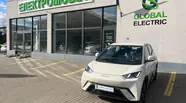 BYD Seagull Flying version