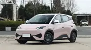 BYD Seagull Live version